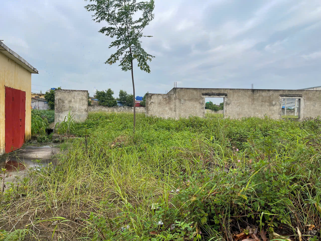 z7307989494129_346b59ea590dd6ddeb1b915460c323b5