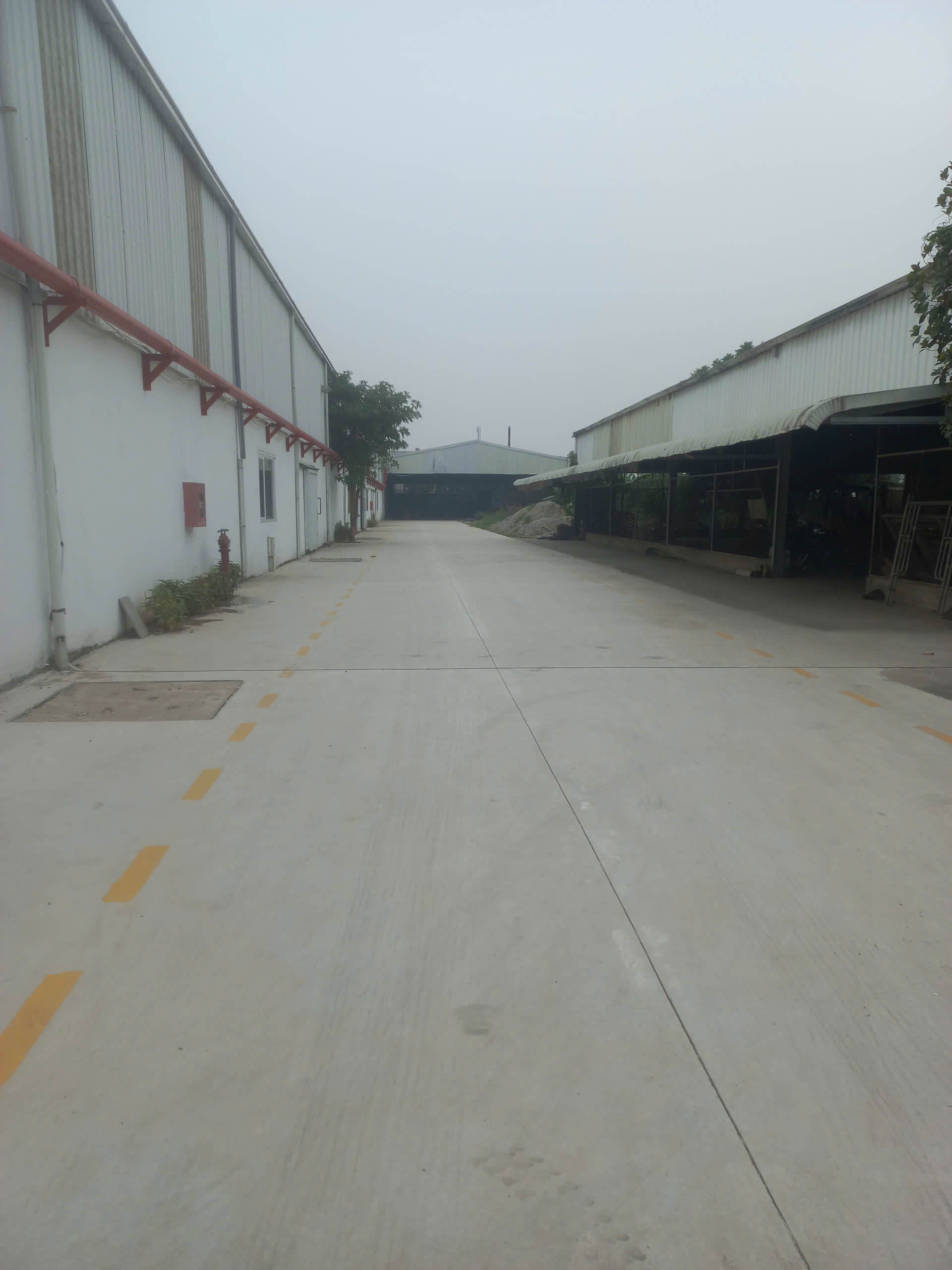 z7455710301633_66ca16c4cdfc7a8c6a7ac34799fa1306