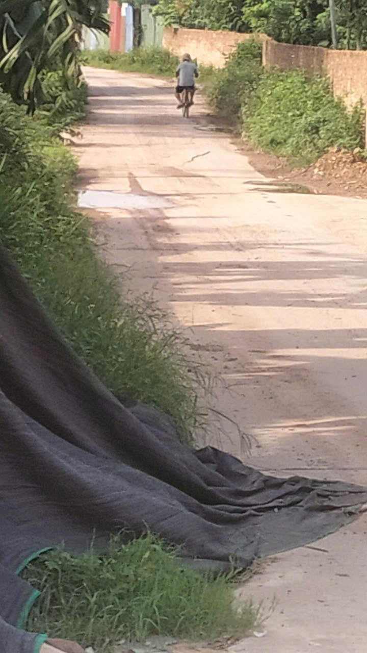 z7562776970206_ad2417d654349ed66c69b53557a12fa5