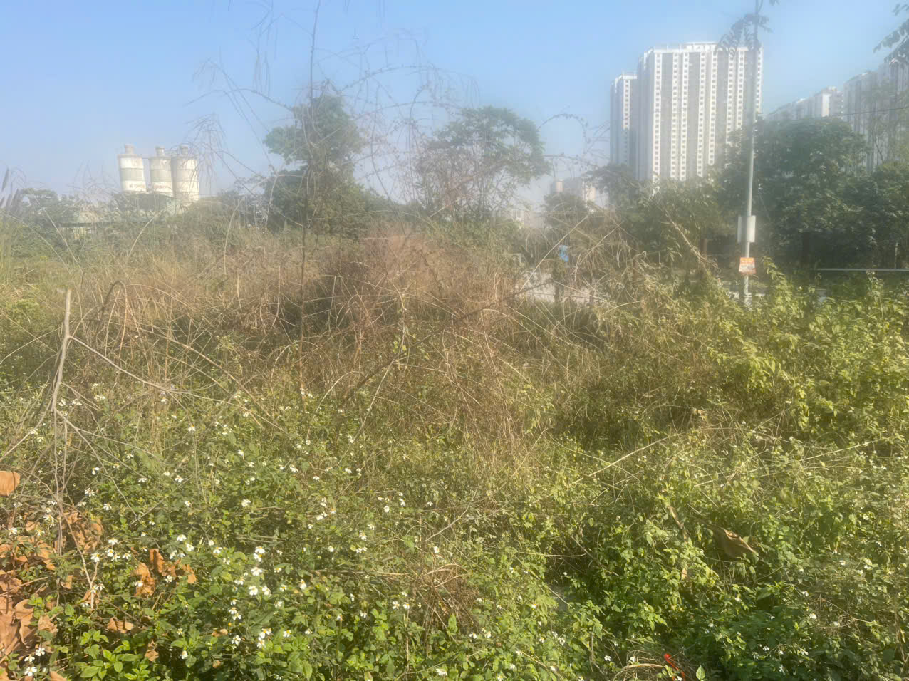 z7567528512679_b182189a493393f450865f972bb679fb