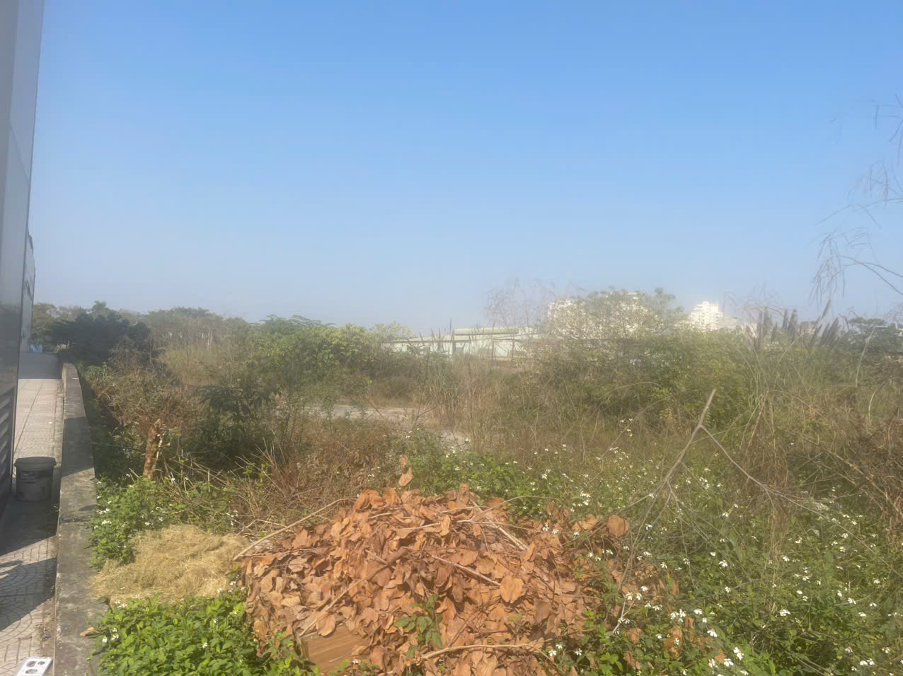 z7567528518020_26a507e28c194cb3a1370da90b763455