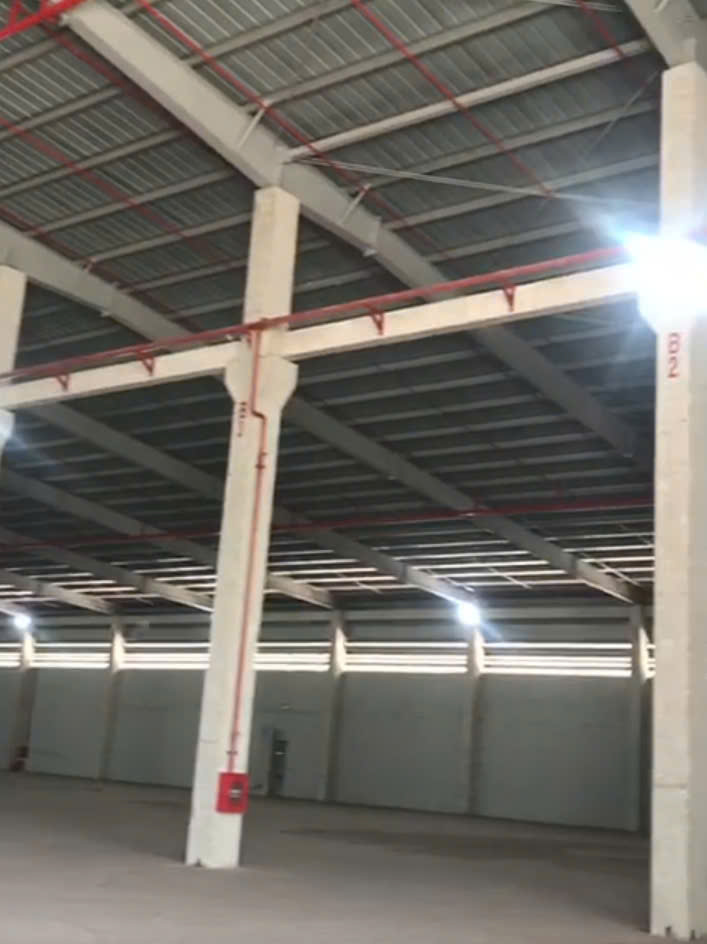 z7248321218609_5d64ab383afcb678a8c21ea685332212