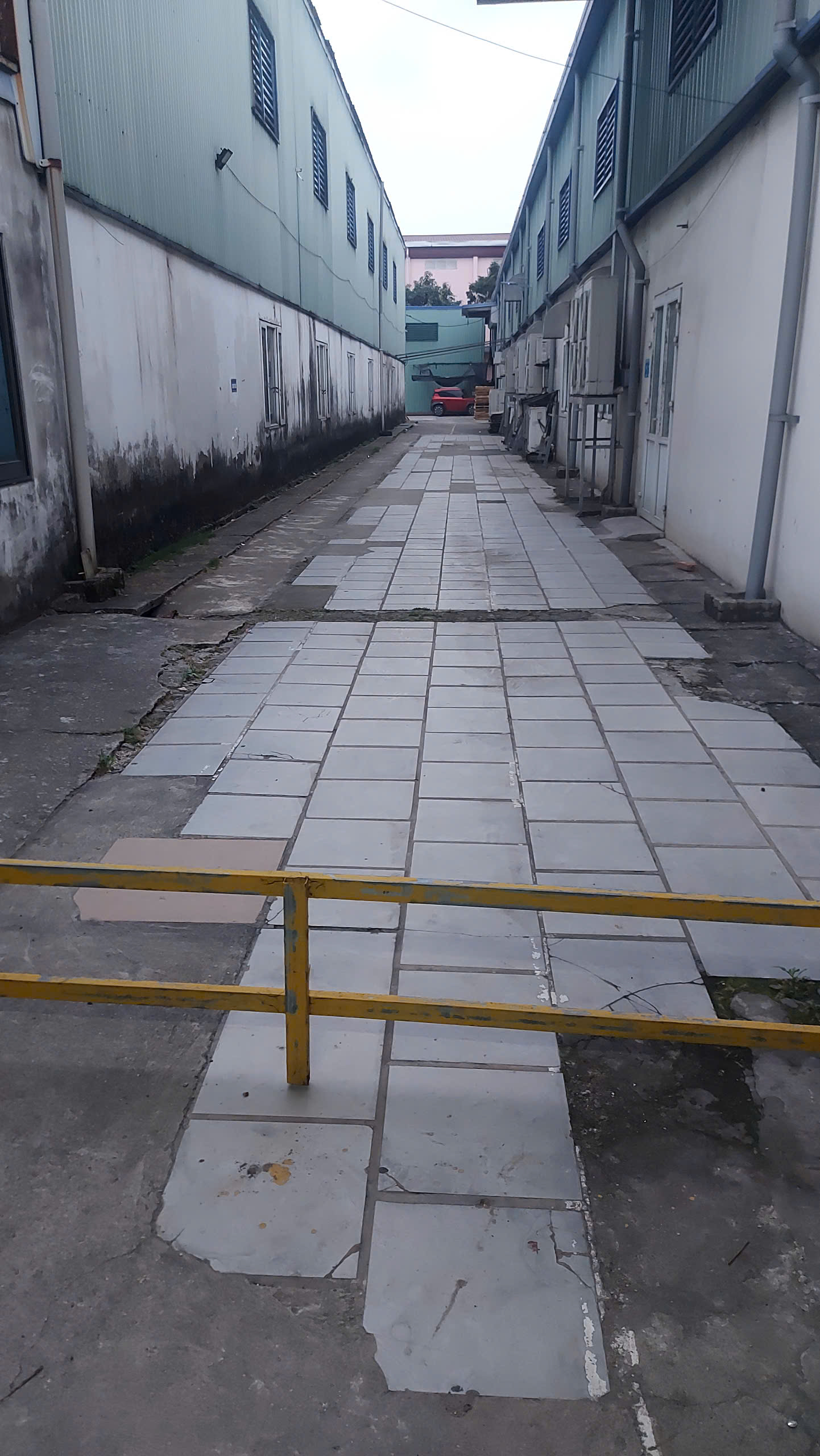 z7659816190053_378d39f316ddb4cdc5cc0a8e282525cd